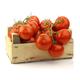 Tomato Plants - 'Moneymaker' - 1 x Full Plant in a Pot