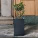 Latitude Run® Concrete Pot Planter Fiberglass/Concrete | 23.62 H x 11.02 W x 11.02 D in | Wayfair 52D388F465AF46E78A645916DBD760D8