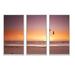 Rosecliff Heights Beach Sunset & Sea Gulls - 3 Piece Floater Frame Photograph on Canvas Canvas, Wood in White | 20 H x 36 W x 1 D in | Wayfair