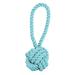 Blue Rope Tug Dog Toy, Small