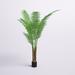 Freeport Park® 5' Artificial Potted Giant Areca Palm Tree Plastic | 60 H x 30 W x 30 D in | Wayfair CD2226B3FA03402B80C612C6B0E74E0D