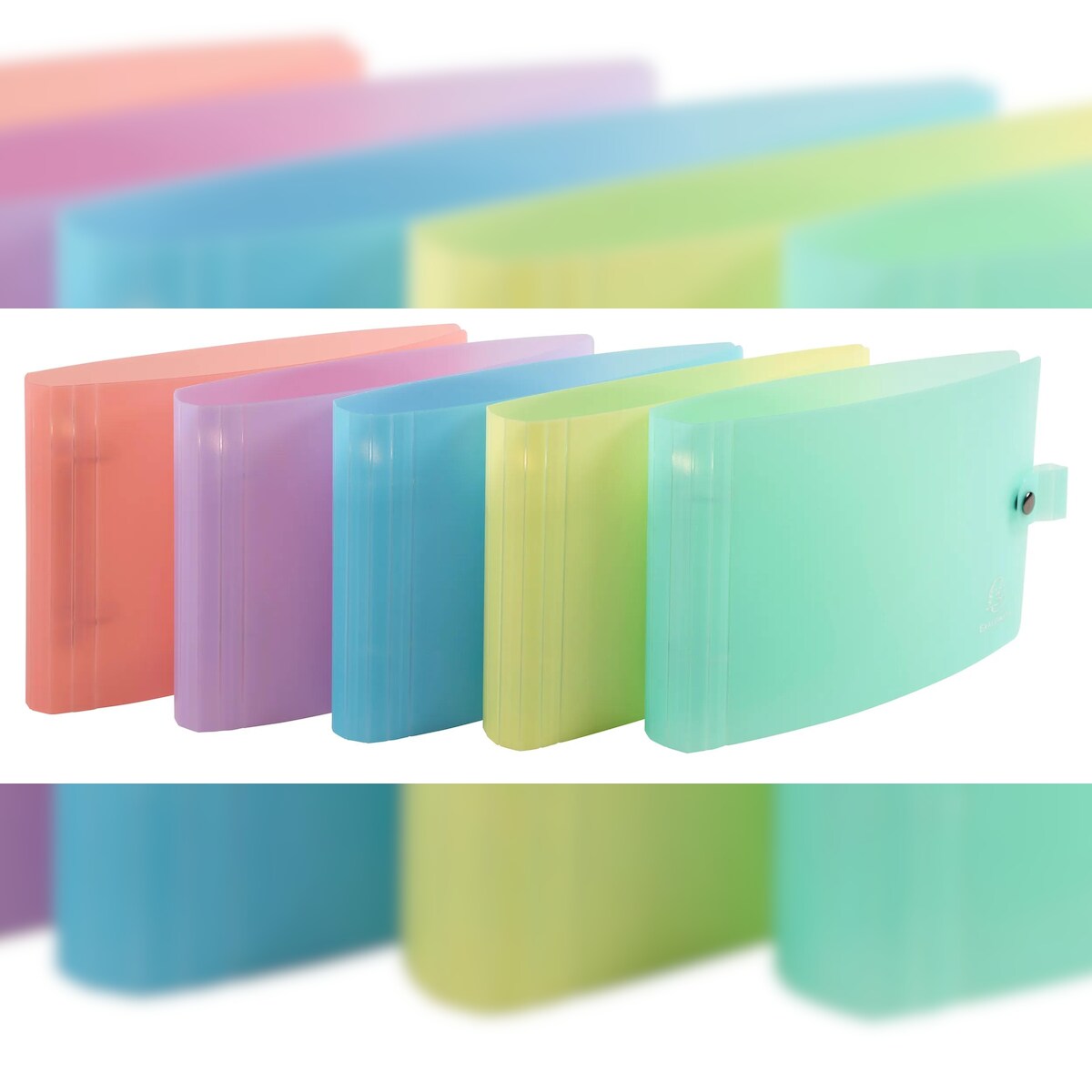 Exacompta 52170E 10x Ringbuch aus Polypropylen mit 2 Ringen 30mm für Karteikarten A5 und 125x200mm, Chromaline Pastell - Farben sortiert Image
