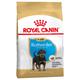 12kg Rottweiler Puppy Chiot Royal Canin - Croquettes pour chien