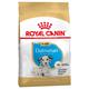 2x12kg Dalmatien Puppy Chiot Royal Canin - Croquettes pour chien