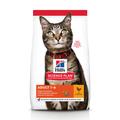 15kg Adult poulet Hill's Feline Croquettes pour chat