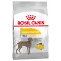 Royal Canin Maxi Dermacomfort pour chien - 12 kg