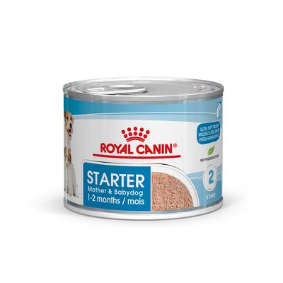 48x195g Royal Canin Starter Mousse Mother & Babydog - Pâtée pour chien