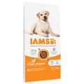 2x12kg IAMS Adult Large poulet - Croquettes pour chien