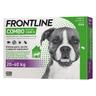 Frontline Combo Spot on per cani grandi 20 40kg