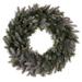 Vickerman 692943 - 24" Frosted Douglas Fir Wreath 270T (K224724) 24 Inch Christmas Wreath
