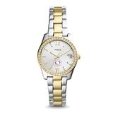 Women's Fossil Silver CCD CityHawks Scarlette Mini Two-Tone Stainless Steel Watch