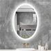 Wrought Studio™ Brue Oval Frameless LED Wall-Mounted Anti-Fog Dimmable Bathroom/Vanity Mirror | 28 H x 20 W x 3.15 D in | Wayfair