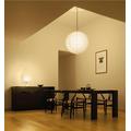 55D Noguchi Pendant Light by Akari