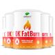Nature's Finest by Nutrisslim OK!Fatburn: Carb Blocker for Men & Women, Gluten Free Weight Loss Supplement - L Carnitine, ID-alG, L-Tyrosine & Vitamin C for Fat Burning (5)