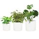 Fox & Fern Plant Pot, Large Plant Pots for Indoor & Outdoor, UV & Frost Resistant Plant Vase with Drainage Plug, Fiberstone, Large Indoor Pots for Plants & Flowers, House Indoor Plant Pot, Set of 3
