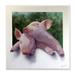 Stupell Industries Sweet Cuddling Pigs Sentimental Farm Animal Portrait Wall Plaque Art By Alan Weston in Brown/Green/Pink | Wayfair