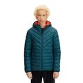 TOM TAILOR Denim Herren Leichte Steppjacke 1011871, 19059 - Deep Jade Green, L