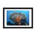 East Urban Home 'Soft Corals Grow Beneath a Large Table Coral' Photographic Print on Canvas Canvas, in Blue/Gray | 16 H x 24 W x 1 D in | Wayfair