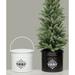The Holiday Aisle® 2 Piece Danish Metal Bucket Set Metal | 3.5 H x 4 W x 4 D in | Wayfair 751320E3ACEB49518E94DCE1C1B39530