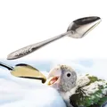 Cuillère d'alimentation en acajou pour perroquet d'oiseau acier inoxydable eau lait en poudre