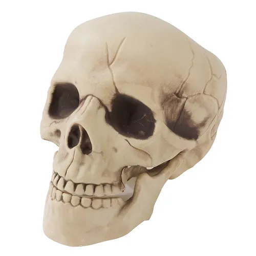 Tête de mort, beige, 21 cm