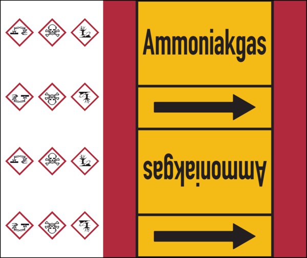 Rohrleitungskennzeichen Ammoniakgas - 33000x180 mm Folie selbstklebend Image