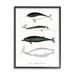 Stupell Industries Nautical Sea Life Whales Canvas in Black/White | 14 H x 11 W x 1.5 D in | Wayfair an-261_fr_11x14