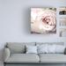 Rosdorf Park Symposium Design "Vintage Rose" Canvas Art Canvas, Cotton in Pink | 14 H x 14 W x 2 D in | Wayfair A34247316E0A420E86A62CA922900353