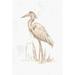 Highland Dunes Sepia Heron I by June Erica Vess - Wrapped Canvas Painting Canvas in White | 36 H x 24 W x 1.25 D in | Wayfair