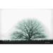 Winston Porter Foggy Old Tree by Lori Deiter - Wrapped Canvas Photograph Canvas in Black/White | 20 H x 30 W x 1.25 D in | Wayfair