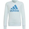 ADIDAS Kinder Sweatshirt G BL SWT, Größe 128 in Grau