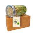 Sprouting Jar with Screen Lid-316 Stainless Steel 100% Rust Free, Wide Mouth Quart Mason Jar Kit Sprouter, Organic Healthy Fresh Broccoli, Alfalfa, Mung Bean Sprouts and more (Seeds not included)
