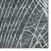 Gray/White 144 x 108 x 0.19 in Area Rug - Orren Ellis Zaundra Southwestern Machine Woven Area Rug in Chenille, | 144 H x 108 W x 0.19 D in | Wayfair