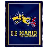 Drexel Dragons 36'' x 48'' Children's Mascot Plush Blanket