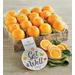 Navel Oranges With "Get Well" Message, Fresh Fruit, Gifts by Harry & David