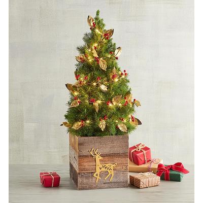 Rustic Christmas Tree, Trees, Flowers by Harry & David