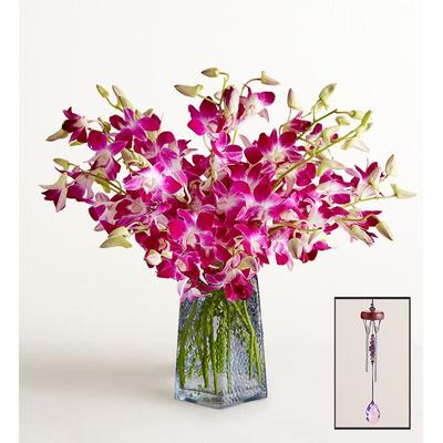 1-800-Flowers Flower Delivery Exotic Breeze Orchids 20 Stems W/ Blue Vase & Windchime | Happiness Delivered To Their Door