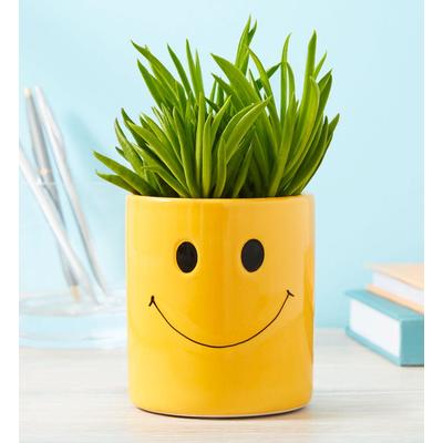 1-800-Flowers Plant Delivery Smiley Succulent