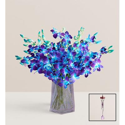 1-800-Flowers Flower Delivery Ocean Breeze Orchids 20 Stems W/ Blue Vase & Windchime | Put A Smile On Their Face