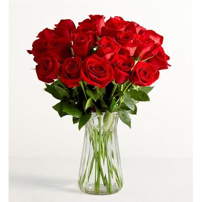 1-800-Flowers Flower Delivery Two Dozen Red Roses W/ Clear Vase