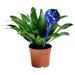 Orren Ellis Aqua Plant Watering Globe Plastic in Blue/Gray/White | Wayfair 5AF6D8D58EDB4DEBB48AAB7729DE77DD