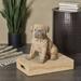 Red Barrel Studio® Eclectic Pug Dog Sculpture Resin, Rubber in Brown | 15.25 H x 9.4 W x 13.1 D in | Wayfair E7811DF7FA484F1C92AF3DBEECFF9525