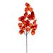 Vickerman 695302 - 34" Autumn Berry/Foliage Spray 2/Bag (FQ220934) Home Office Picks and Sprays