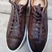 Polo By Ralph Lauren Shoes | New Polo Ralph Lauren Jermain Leather Sneaker Size 13 | Color: Brown | Size: 13