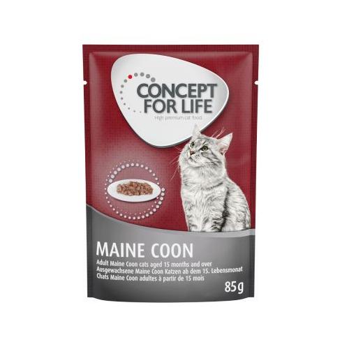 24x85 g Maine Coon Adult Ragout-Qualität Concept for Life Katzenfutter nass Sparpaket