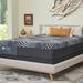 California King 14" Hybrid Mattress - Sealy High Point Soft | 84 H x 72 W 14 D in Wayfair 52776162