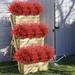Primrue Faux Lavender Flowers for Indoor/Outdoor Hanging Plants, Garden, Porch, Wedding - No Container Plastic in Red | 3 H x 14 W x 8 D in | Wayfair