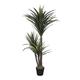 Plantificial 5ft Yucca Plant, Artificial Plants Indoor, Artificial Yucca Plant, Fake Yucca Plants Indoors For Home Decor Office Decoration - 80W x 160H cm