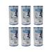 Unicel 35 sq foot Rainbow Replacement Swimming Pool Filter Cartridge (6 Pack) - 1.25