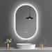 Orren Ellis Oval LED Wall-Mounted Bathroom Vanity Mirror w/ Anti-Fog & Dimmable | 31.5 H x 19.69 W x 1.18 D in | Wayfair